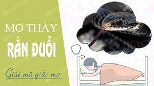 Mơ thấy rắn đuổi đánh con gì