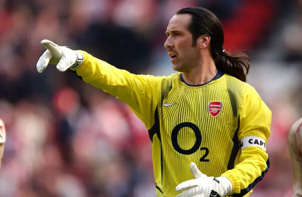 David Seaman đạt được nhiều danh hiệu cũng Arsenal