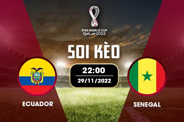 Soi kèo Ecuador - Senegal