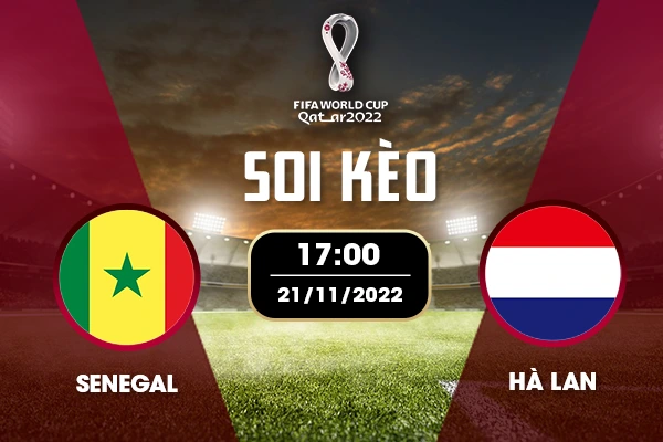 Soi kèo Senegal vs Hà Lan trước trận đấu